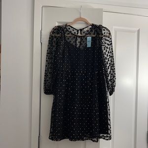 Loft Dress- New With Tags, size XSP